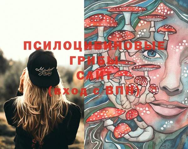 сатива Верхний Тагил