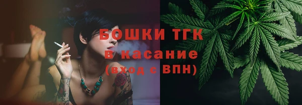 сатива Верхний Тагил