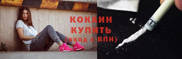 сатива Верхний Тагил