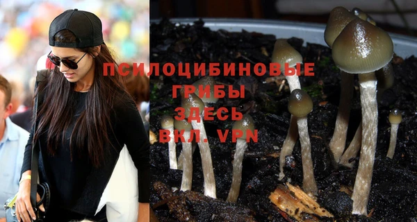 прущие крисы Верхнеуральск