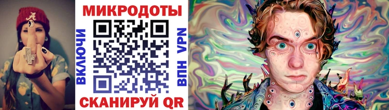 kraken как войти  наркотики  Верхняя Пышма  Псилоцибиновые грибы Cubensis 
