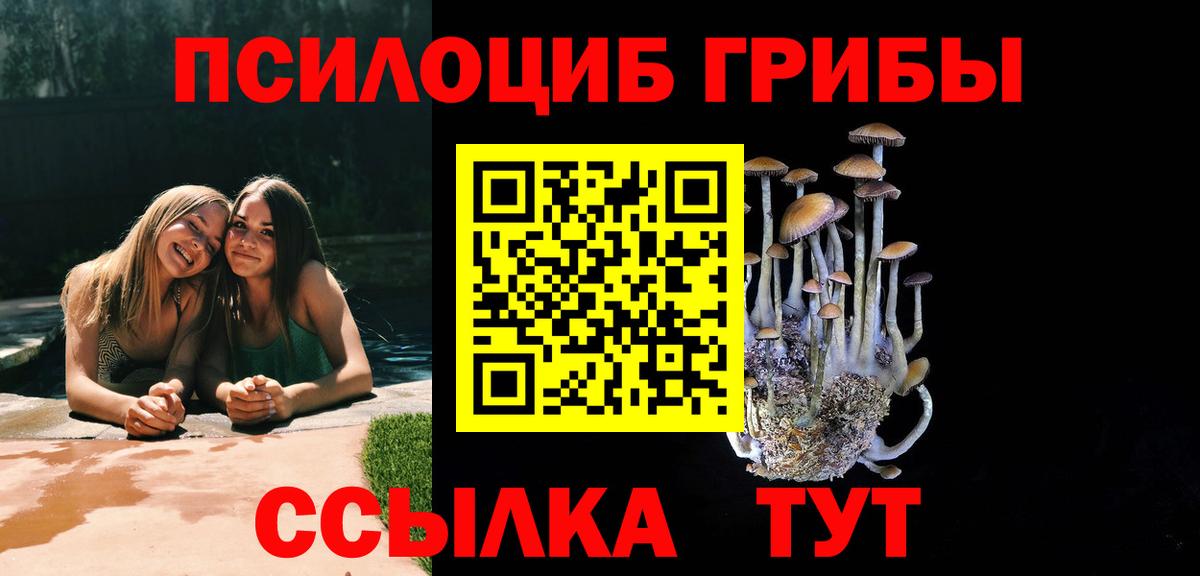 Галлюциногенные грибы GOLDEN TEACHER Верхняя Пышма
