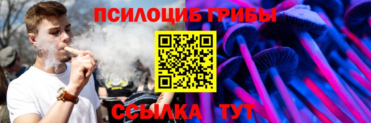 Псилоцибиновые грибы мицелий  Вход с VPN  Верхняя Пышма 