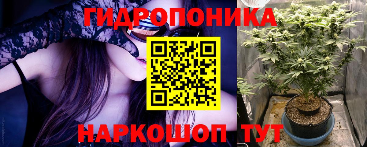 Бошки марихуана индика  Шишки марихуана марихуана  Верхняя Пышма  Вход с VPN  Канабис AK-47 